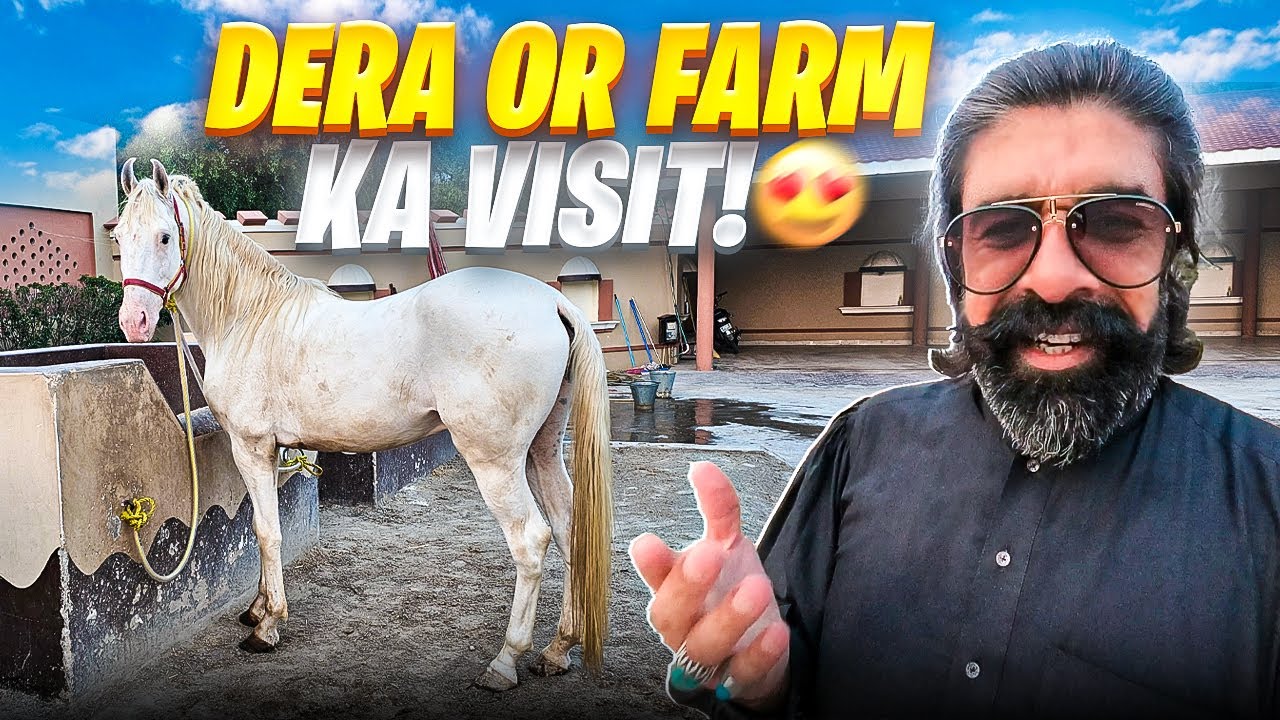 Dera Aur Farm Ka Visit😍 | Horses & Rural Life | Faisal Lali Vlogs