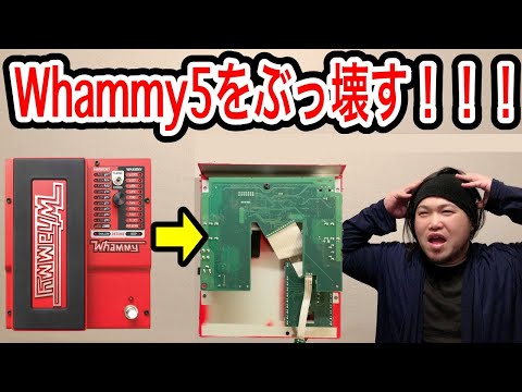 【久し振りの】DigiTech Whammy5【ジャンク品】 - YouTube