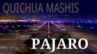 Video thumbnail of "PAJARO【San Juanito】Quichua Mashis"