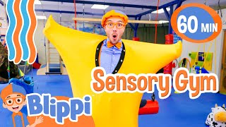 Sensory Gym Play: Blippi's Learning Adventure | 1HR of Play | Moonbug Kids - Fun Stories and Colors