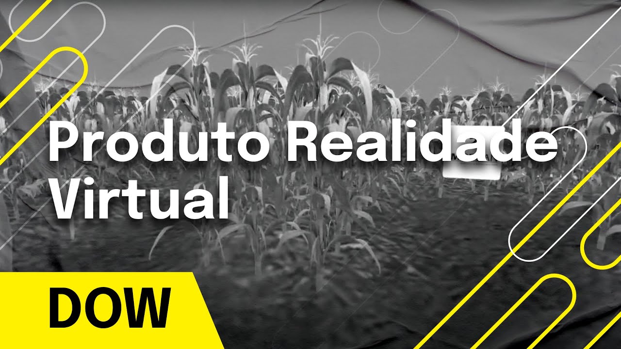 Metaverso - Realidade Virtual - DOW