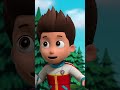 Pups help the Salmon jump over the Beaver Dam! #pawpatrol