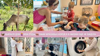 🧺Убираем Дом🤰О Моих Родах🐂Едем  В Гости В Тайскую Деревню