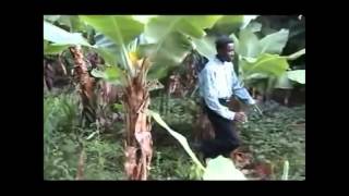 CONGO   Kikuyu Gospel