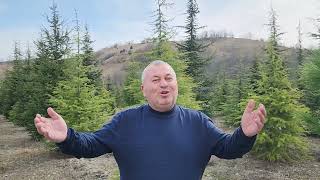 Akpli Olmayanı Stadlara Almayın. Hükümet İstifa Etsin Diyenleri Duymazsınız.