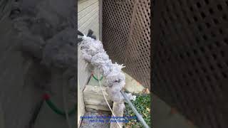 Dryer Vent Cleaning