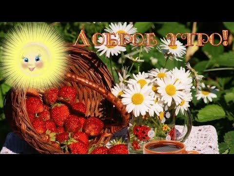 С ДОБРЫМ,ЛЕТНИМ УТРОМ!