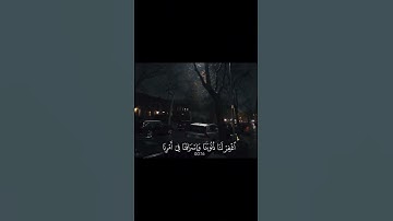 آل عمران - #ياسر_الدوسري #قرآن_كريم #قرآن #راحة_نفسية #quran_alkarim #quran #تلاوة_هادئة #قرآن