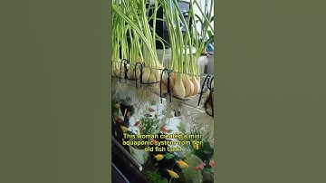 Grow Garlic and Raise Fish in One Tank | Easy Aquaponics Idea
