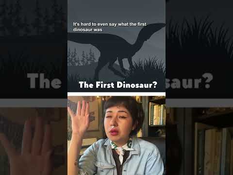 ⁣The first dinosaur: We know a lot about them, but what was the first?