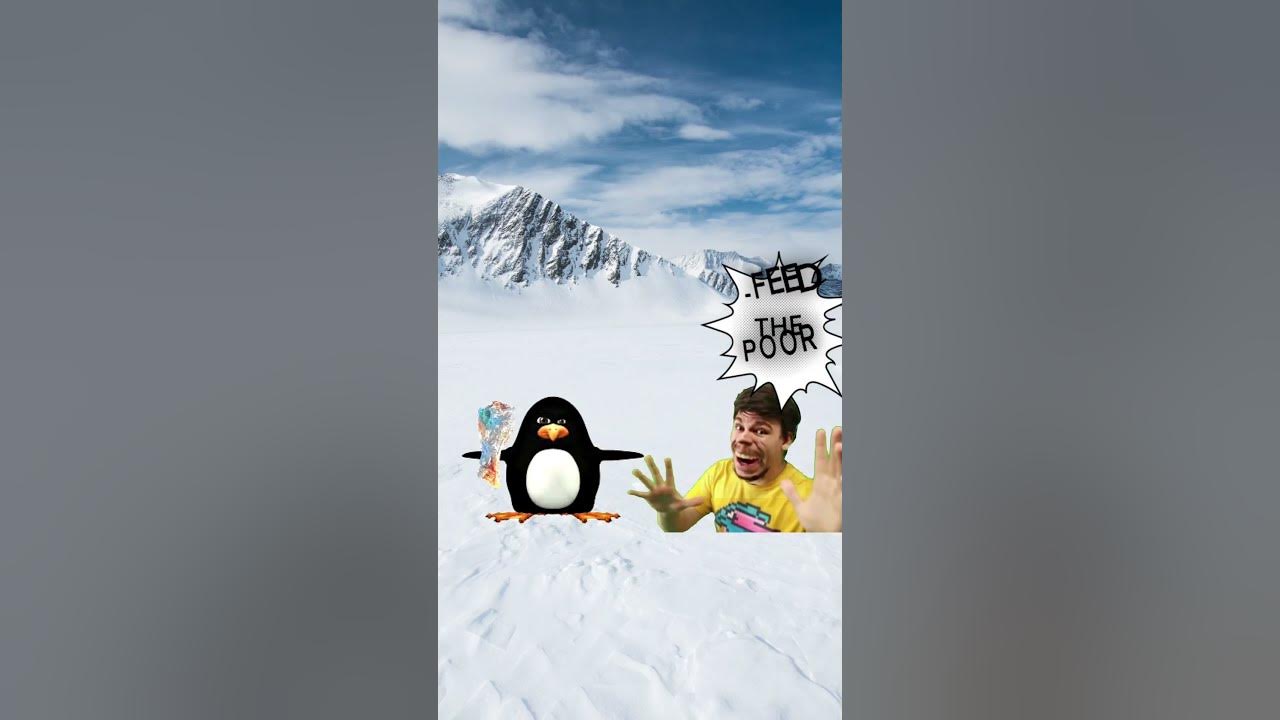 Penguin (very emotional!!) #memes #penguin #meme #mrbeast Penguin (very emotional!!) #memes #penguin #meme #mrbeast