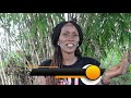 Je Wajua JINSI Ya Kupanda Mmea Wa MUANZI BAMBOO TREE Je Wajua JINSI Ya Kupanda Mmea Wa MUANZI BAMBOO TREE