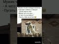 🤣 Смеялся? А завтра будет ещё смешнее!Жми "Подписаться" и колокольчик 🔔