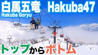 【白馬五竜・Hakuba47　2024】２つのビッグゲレンデのトップからボトムまで一気に滑る Hakuba Goryu & Hakuba47 From Top to Bottom