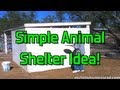 Simple Animal Shelter Idea Simple Animal Shelter Idea