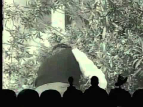 mst3k robot rumpus