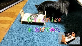 Greeniesをあげてみた