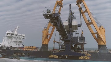 SAL: MV Calypso, loading Siwertell ship unloader