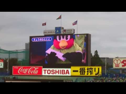 つば九郎 今日のひとこと こんな土手はいやだ 2017-8-17 ﾔｸﾙﾄ対讀賣