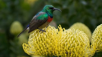 What Are 7 Reasons Not to Worry? Part 1, John Piper, #267