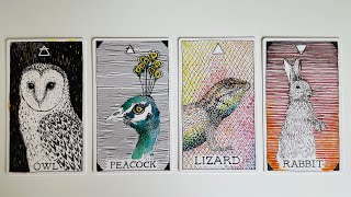 Let Me Describe You  Pick a Card  Timeless Tarot