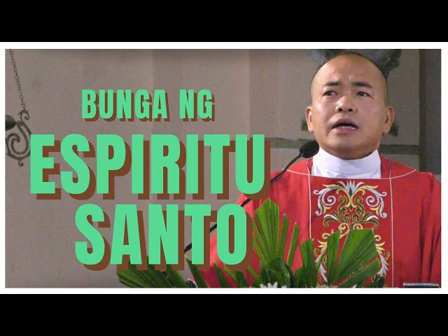 BUNGA NG ESPIRITU SANTO | John 20: 19-23, John 14: 15-16, 23b-26 | Homily | Fr. Daks Ramos class=