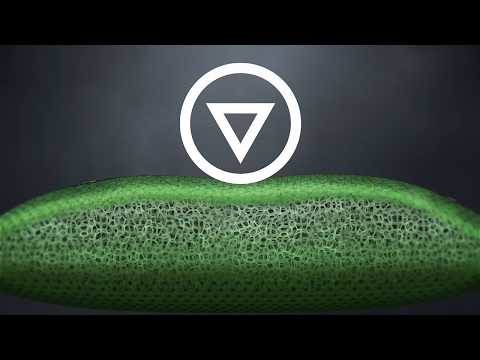 Argan Secret Pillow Animation