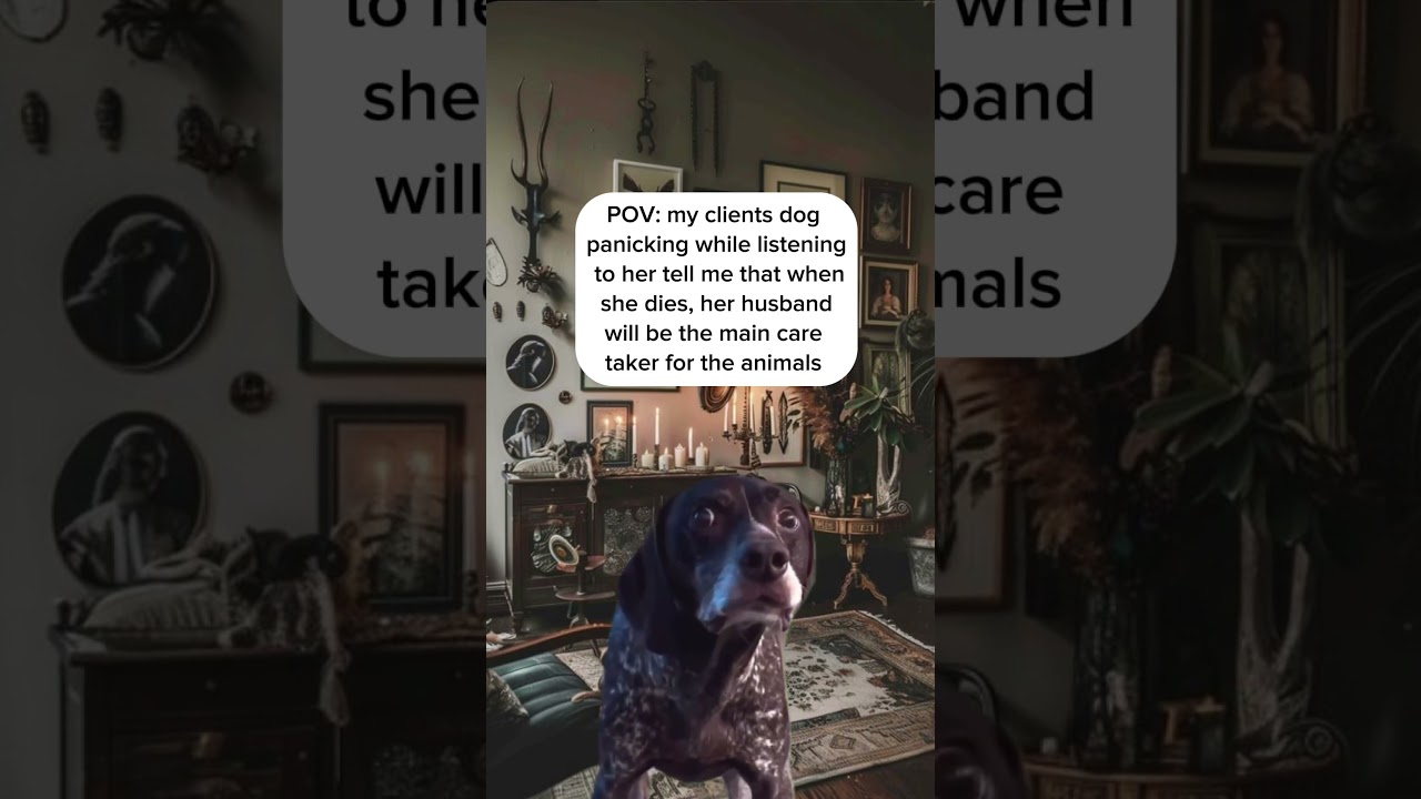 Don’t worry pal, l still check on ya. 