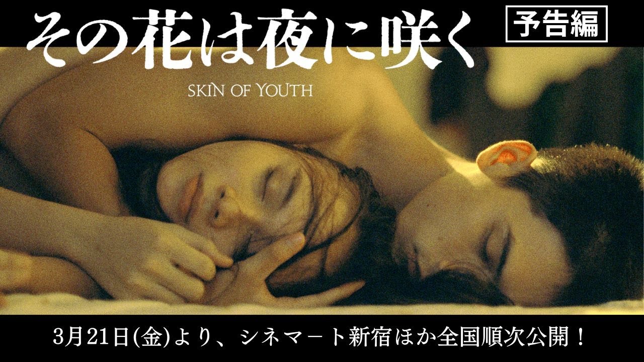 Skin of Youth (dir. Ash Mayfair), 2025 IFFI Golden Peacock winner, distributed by Film Movement