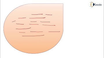 RTCP ( RTP Cotrol Protocol ) - Multimedia Communication - Internet Communication Engineering