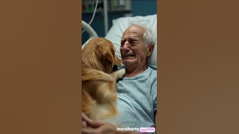 "Dog Cries with Owner in Last Emotional Moment 🐾❤️" #shorts