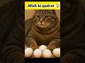 Allah ki Qudrat 😱 l #facts #allahuakbar #islamicfacts