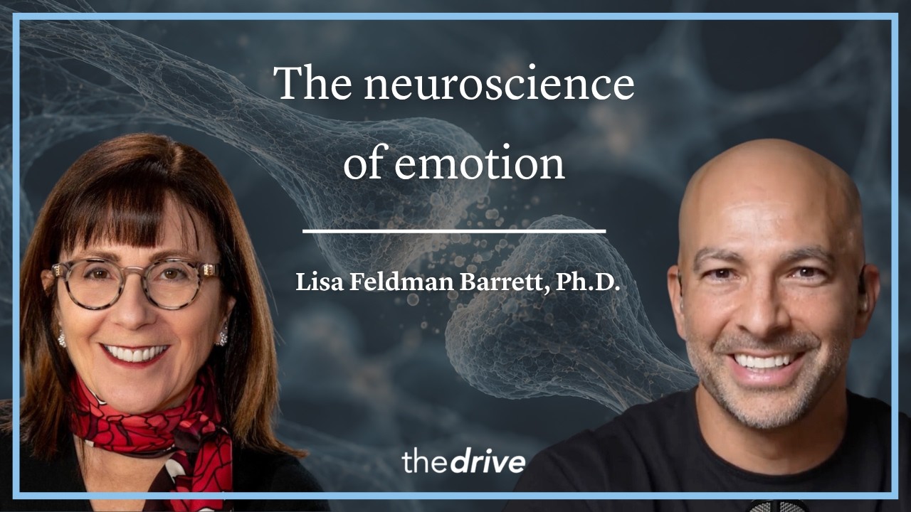 413 ‒ The neuroscience of emotion: challenging conventional theories of emotion and much more