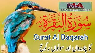 Surat Al Baqarah | new Tilawat Quran | By Qari Abu Bakar | M A islamic advice