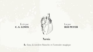   Narnia  Le Lion La Sorcire Blanche Et Larmoire Magique 14