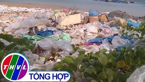 THVL | Rác thải nhựa tồn ứ ven bờ vịnh tại Phú Yên