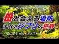 【14話】ある晴れた休日、母の幻影を辿った日。まるでジブリの世界にいるようでした。最後に母と二人で行ったパワースポット巡り。【16年ぶりの帰国で実家の古民家で田舎一人暮らし、フカセンvlog14】