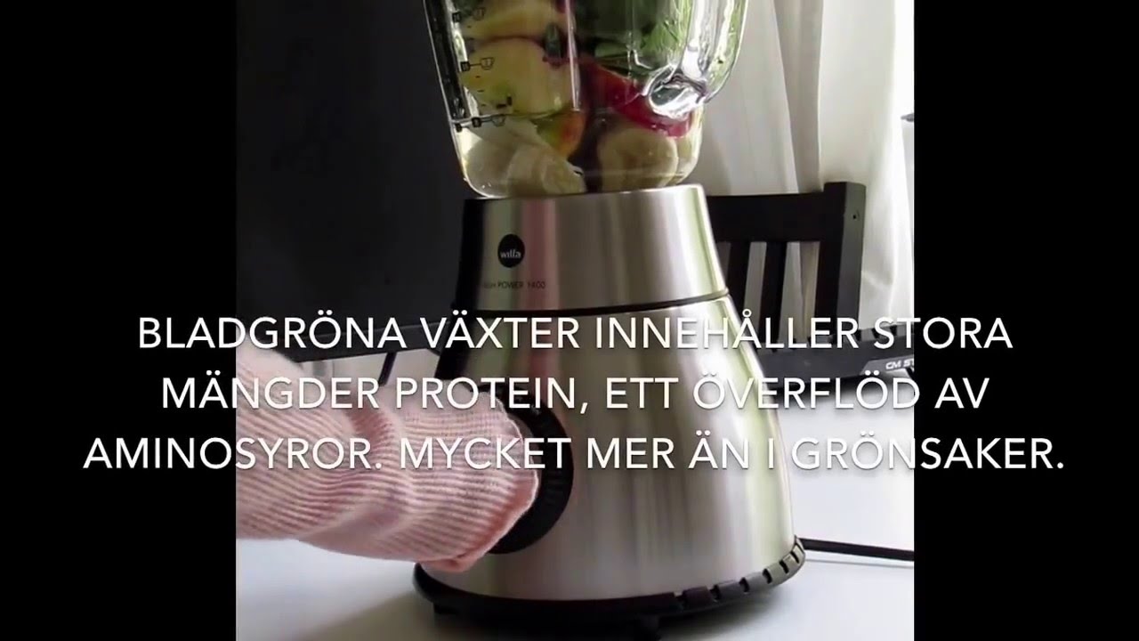 Healthy Wilfa blender BL 1400 smoothie, karunesh - YouTube