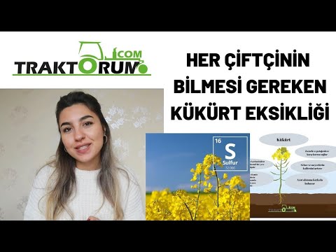 Video: Bakır ve kükürt karıştırıldığında ne olur?