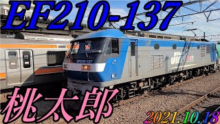 EF210-137号機が牽引する、4091レが府中本町駅を通過 2021.10.18