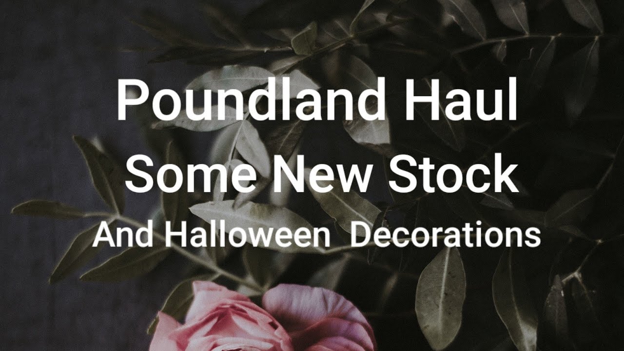 HUGE Poundland Haul September 2020
