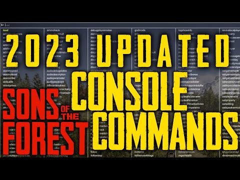 Does Sons of the Forest have console commands?