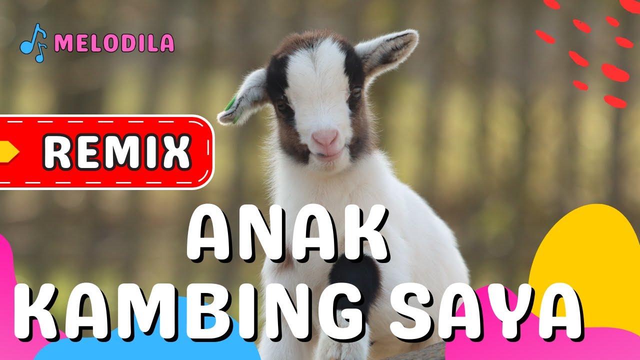 🔴 LAGU ANAK KAMBING SAYA REMIX - Lagu Anak Terbaru - YouTube