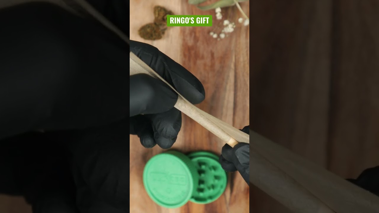 Fleur de CBD - Ringo's Gift - 321CBD 