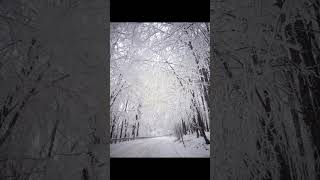Песня Под Гитару ზამთარია სიცივეა  (Зима , Холодно) На Грузинском Языке