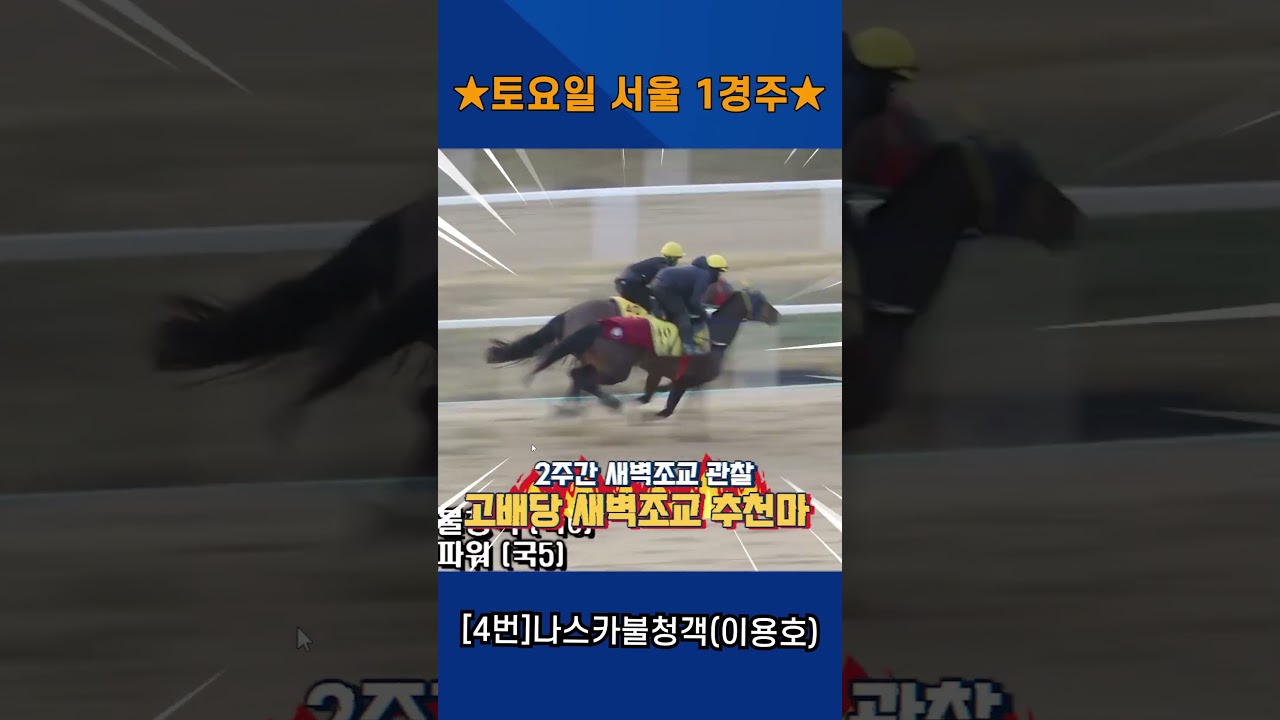 4월18일 토요일 서울 2경주!! 2주간 훈련보인 강백호의 새벽조교 쏘스마!!