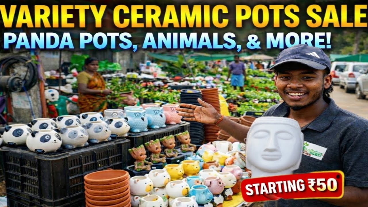 ​Variety Ceramic Pots Sale! 😍 | Low Price Gardening Pots in Tamil | Pallavaram Friday Market ✨