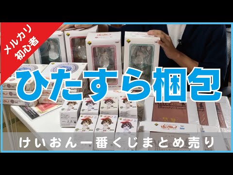 ご*ん様 チランジア22種 まとめ売り お買い得セット(メルカリ便にてお届けしま ご*ん様 チランジア22種 まとめ売り お買い得セット(メルカリ便
