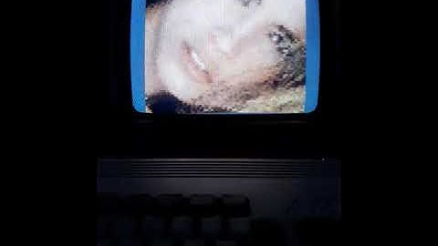 Eltech Raggy on real Amiga 1200 + 4mb fast