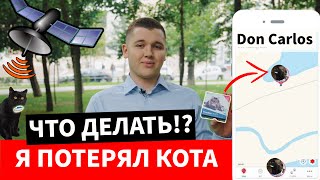 GPS Трекер Для Кошек и Собак [Tractive, Пропала Собака, Pet911, Выгул, Gps Ошейник Для Собак]